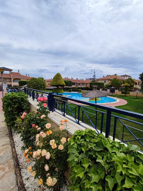 Garden, Swimming pool