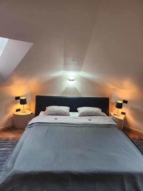 Central Terrace Escape with Jacuzzi Apartment in Timisoara