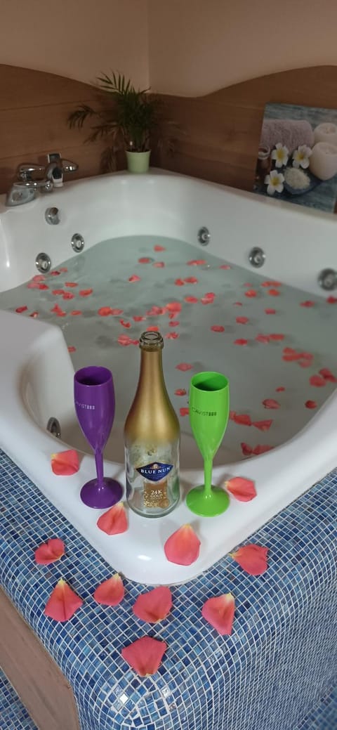 Central Terrace Escape with Jacuzzi Apartment in Timisoara