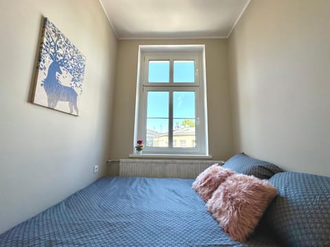 Bed, Photo of the whole room, towels