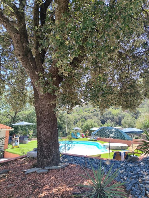Garden view, Swimming pool