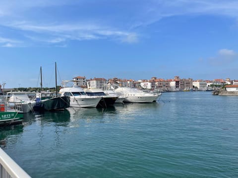 Sea view