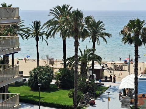 Day, Beach, Sea view, Street view