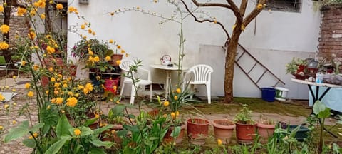 Patio, Spring, Day, Garden, Garden view
