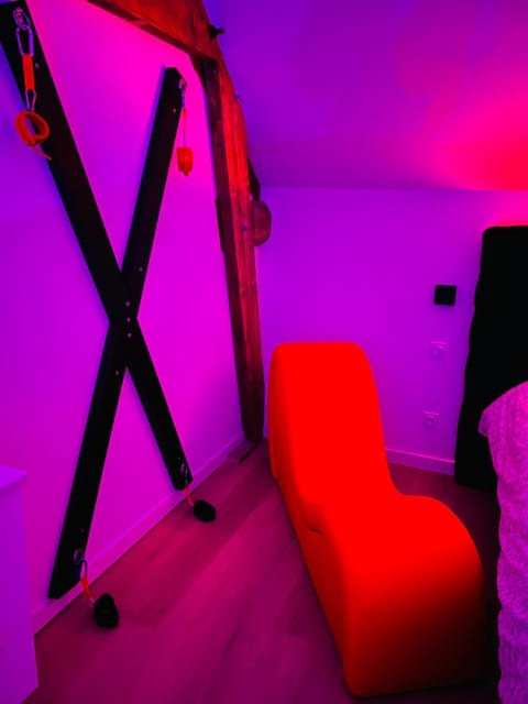 La suite Grand Cru et BDSM 3 minutes de Beaune Apartment in Beaune