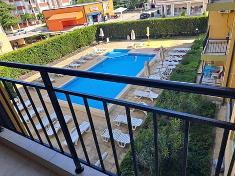 Garden, Swimming pool, Swimming pool