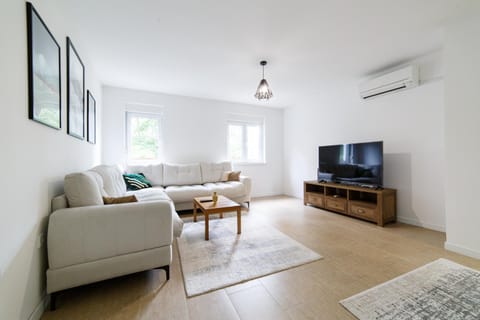 TV and multimedia, Living room, Seating area, air conditioner