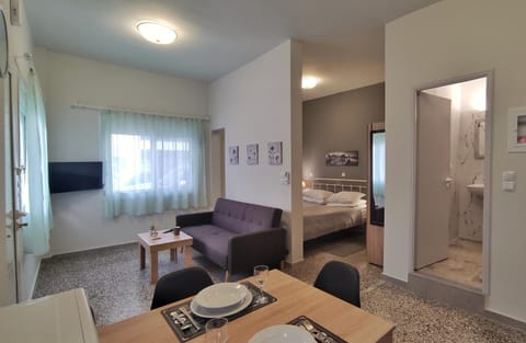 Bed, TV and multimedia, Living room, Photo of the whole room, Seating area, Dining area, Bedroom, hair dresser, minibar