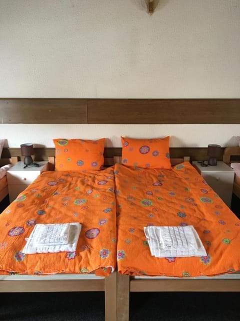 Prenoćiste Živković Apartment in Serbia