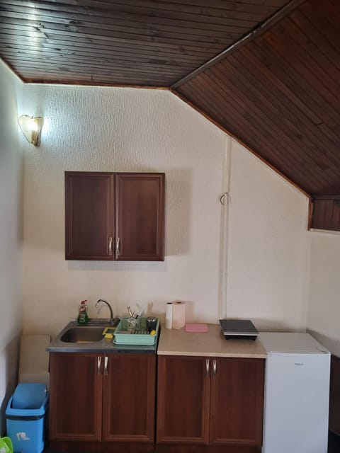 Prenoćiste Živković Apartment in Serbia