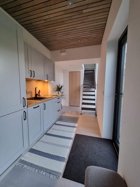 Kitchen or kitchenette, pet friendly