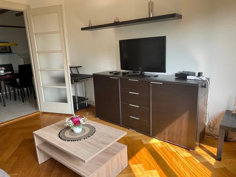 Appartement de 3 chambres à coucher Apartment in Lausanne