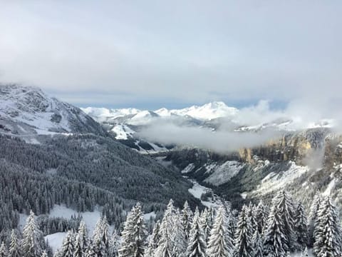 Superbe duplex 4 pièces pour 10 pers. à Avoriaz avec accès skis aux pieds - FR-1-314-122 Apartment in Avoriaz