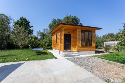 Property building, Spring, Day, Natural landscape, Garden, Garden view