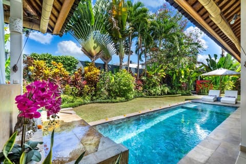 Garden, Garden, Swimming pool, Swimming pool