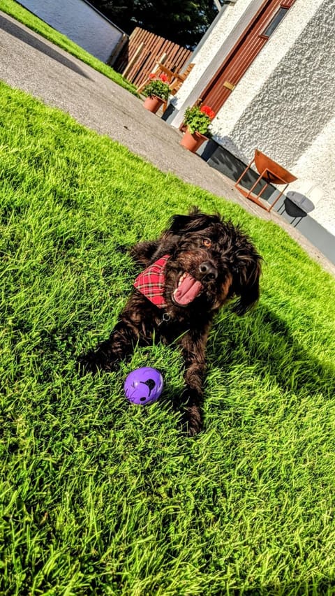 Wild Atlantic Haven, cosy home nr. Ballina & Beach House in County Sligo