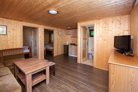 Bed, TV and multimedia, Kitchen or kitchenette, Photo of the whole room, Evening entertainment, Bedroom