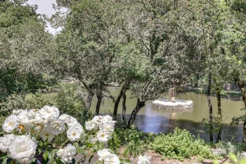 Lakefront Glen Ellen Cabin with Views Near Wineries! Cabin in Glen Ellen