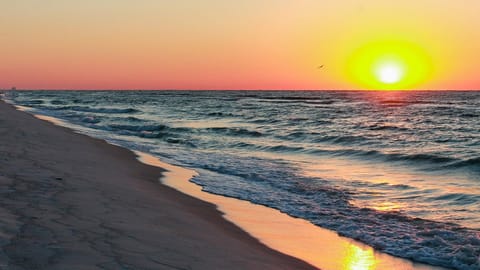 Palms D2 - Sandcastle Dreams House in Seagrove Beach