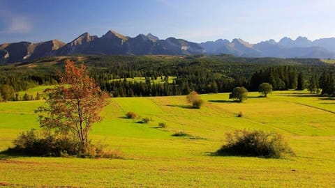 Spring, Day, Natural landscape, Mountain view