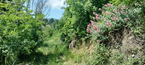 La bergerie d'Annie House in Provence-Alpes-Côte d'Azur