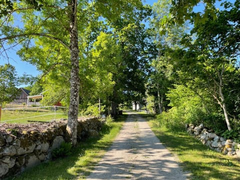Natural landscape, View (from property/room), Garden view