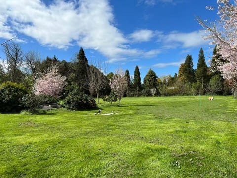 Tamahere Lifestyle Bed and Breakfast in Hamilton