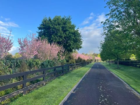 Tamahere Lifestyle Bed and Breakfast in Hamilton