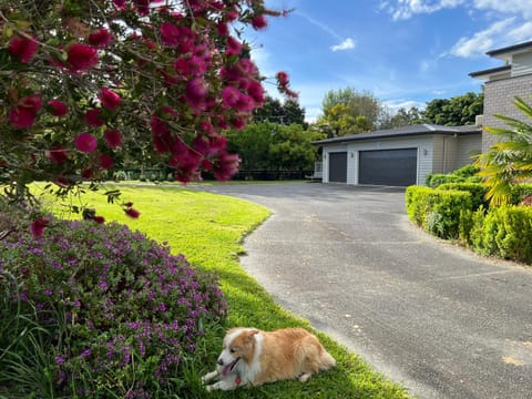 Tamahere Lifestyle Bed and Breakfast in Hamilton