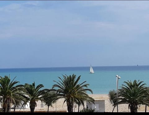 LE DIMORE DI VIA VENEZIA Apartment in Civitanova Marche