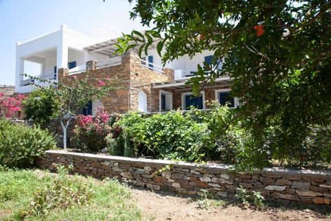 Day, Garden, Garden view