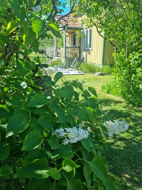 Property building, Garden view