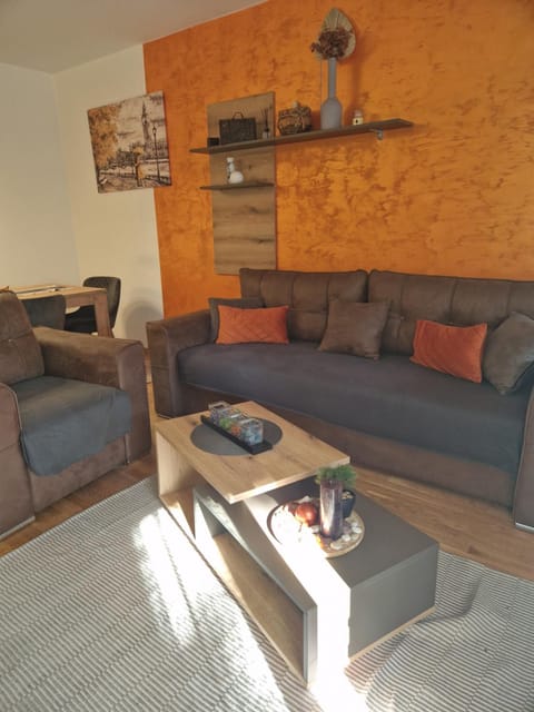 Apartmani Djuric Center Apartment in Vojvodina