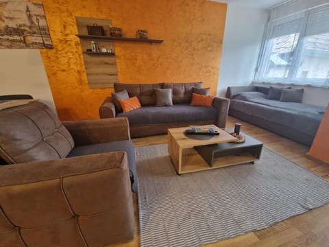 Apartmani Djuric Center Apartment in Vojvodina