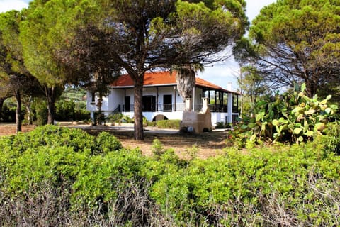 Property building, Natural landscape, Garden, Garden view