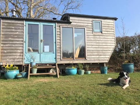 Secluded Shepherds Hut, with a view and hot tub House in Ashburton