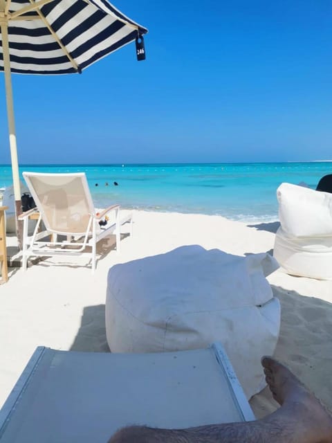 Natural landscape, Beach, Sea view, sunbed