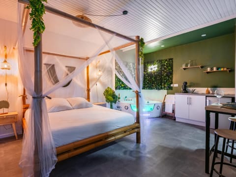 Sault Tropical - Idéal couple - Balnéo Led - Vue parc & montagne - Wifi - Stationnement gratuit - 5min à pied des bars, restaurants & commerces Apartment in Sault