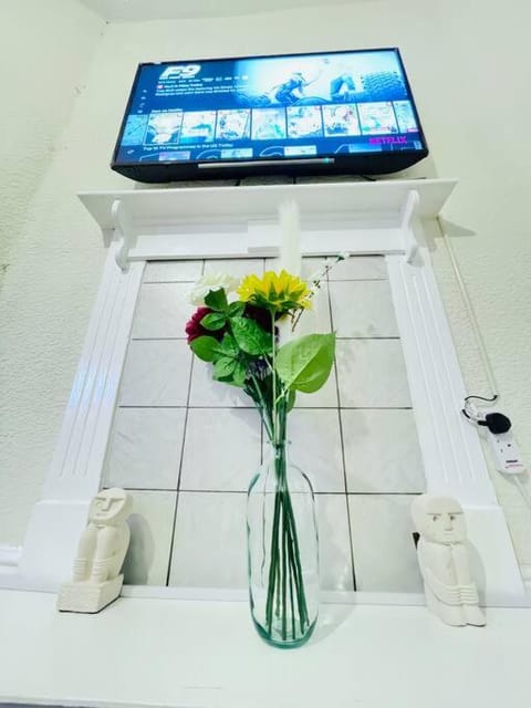 Darlington City Flat Apartment in Darlington