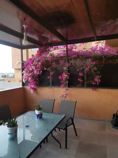 Property building, Balcony/Terrace