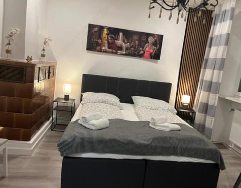 Historisches Haus am Fuße der Festung Ehrenbreitstein am schönen Rhein Vacation rental in Koblenz