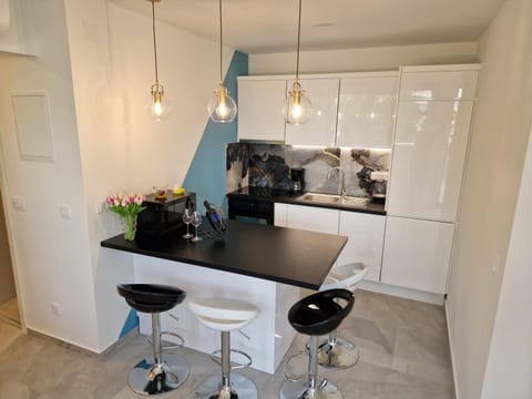 Coffee/tea facilities, minibar, pet friendly, stove, toaster, toaster, kitchen