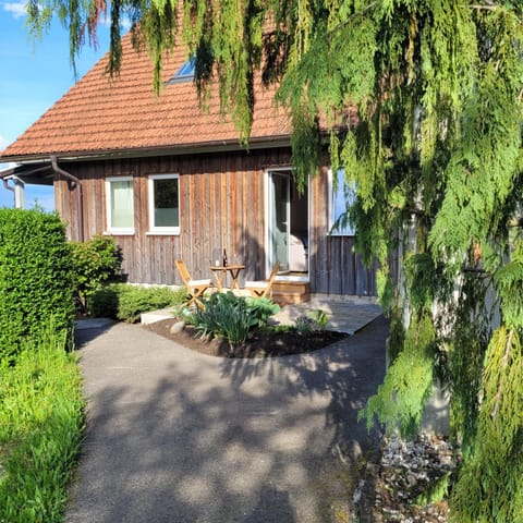 Property building, Garden, Garden view