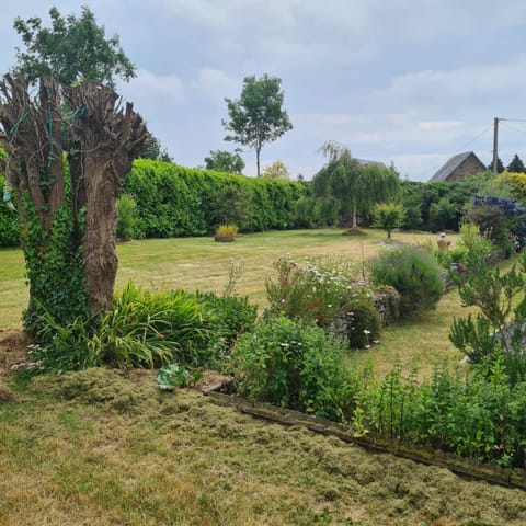 Day, Natural landscape, Garden, Garden view