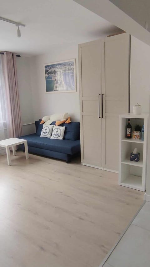 Studio Starowiejska Apartment in Pomeranian Voivodeship