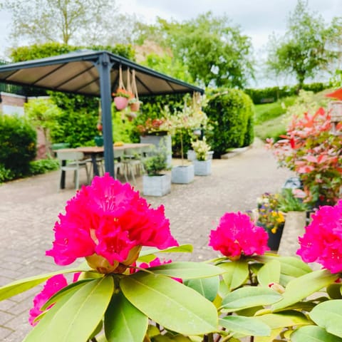 Spring, Day, Garden, View (from property/room), Garden view