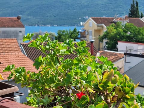 Day, Natural landscape, Balcony/Terrace, Sea view
