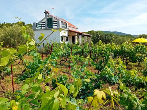 Cottage the Quiet House in Dubrovnik-Neretva County