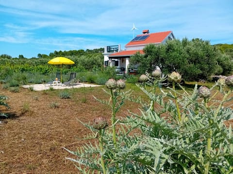 Natural landscape, Garden view