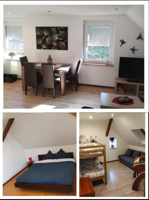 Chez Sandra Apartment in Haguenau